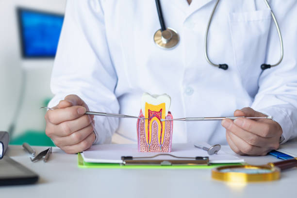 Best Emergency Dental Services for Seniors in Manistique, MI